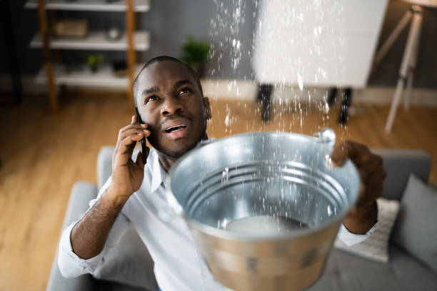 Best Sewage cleanup and water damage restoration  in Loxley, AL