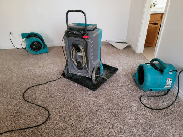 Carpet water damage restoration in Loxley, AL