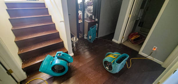 Best Flooded house restoration  in Loxley, AL