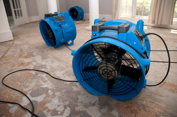 Carpet water damage restoration in Loxley, AL