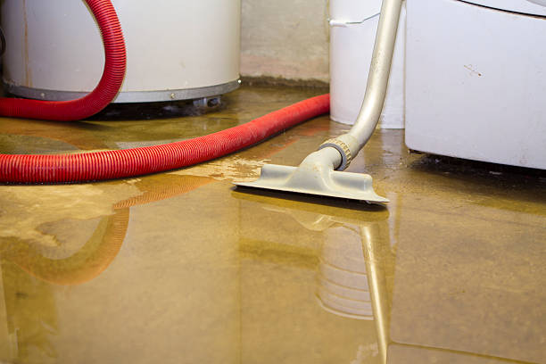 Best 24/7 water damage repair  in Loxley, AL
