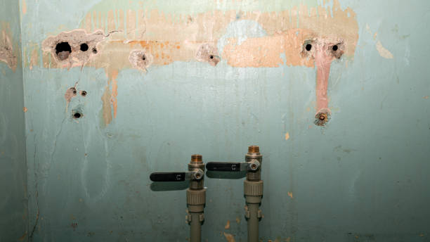 Best Emergency water damage restoration  in Loxley, AL