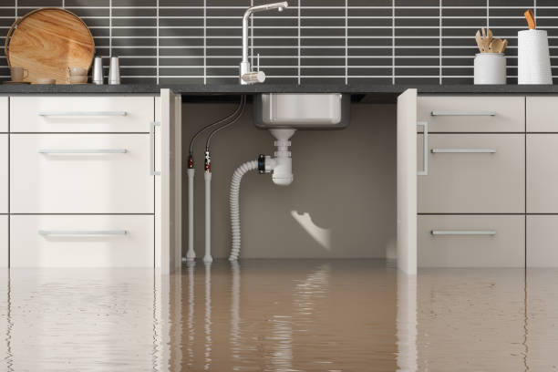 Best 24-hour water damage restoration  in Loxley, AL